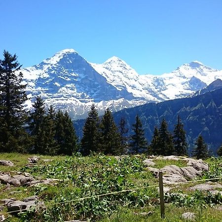 Berghaus Hintisberg Hotel Lütschenthal Buitenkant foto