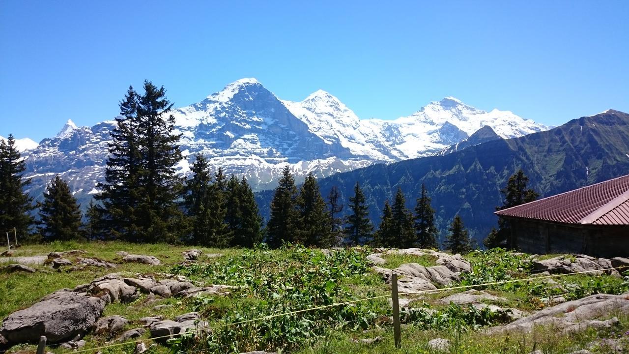 Berghaus Hintisberg Hotel Lütschenthal Buitenkant foto